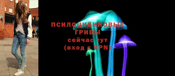 гидропоника Алзамай