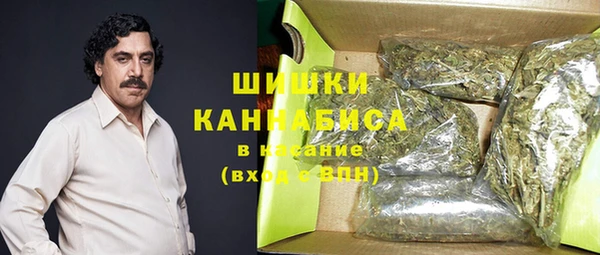 ГАЛЛЮЦИНОГЕННЫЕ ГРИБЫ Сатка