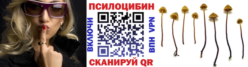 Псилоцибиновые грибы прущие грибы Когалым